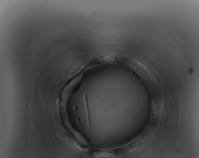 X0000097970223200804011729