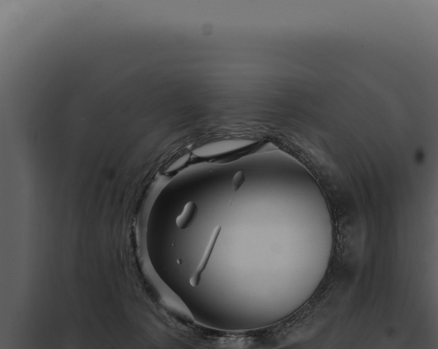 X0000097970225200804011728