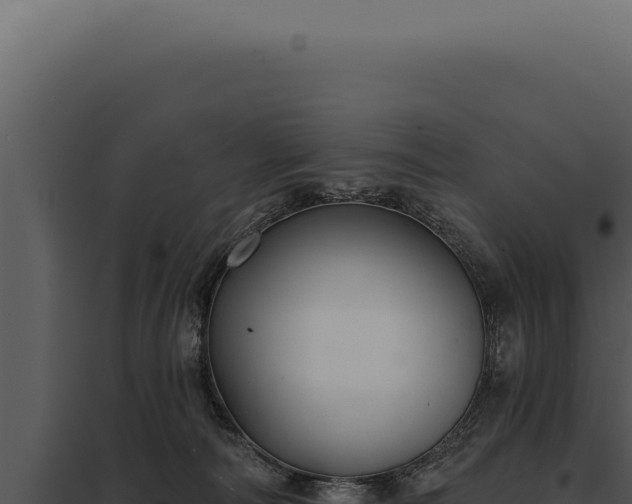 X0000097970226200804011728