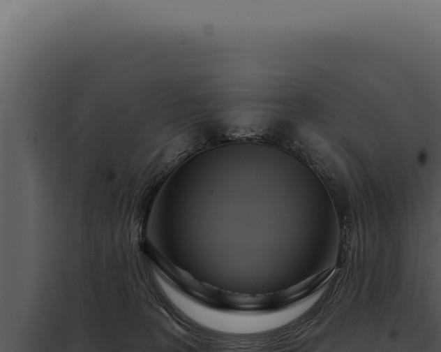 X0000097970227200804011728