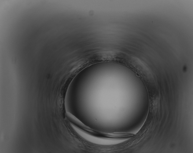 X0000097970228200804011728