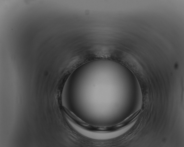 X0000097970229200804011728