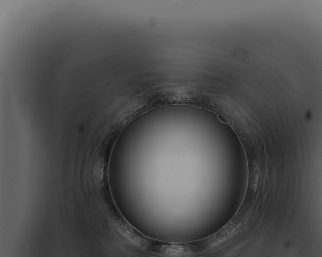 X0000097970230200804011728