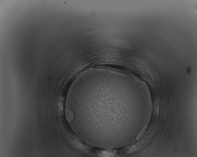 X0000097970232200804011728