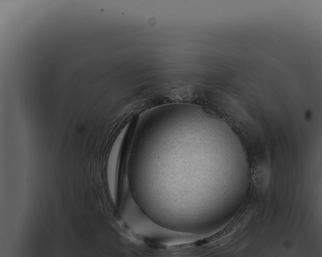 X0000097970233200804011728