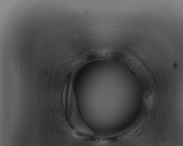 X0000097970235200804011728