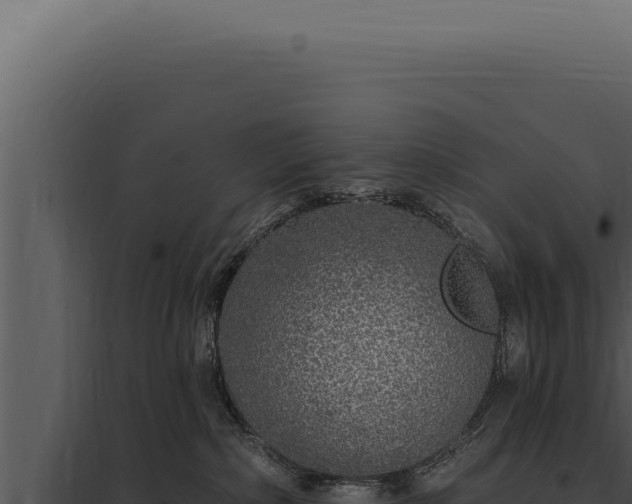 X0000097970236200804011728