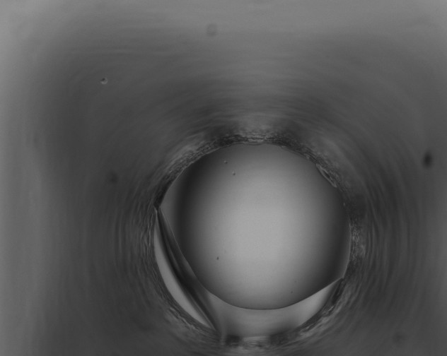 X0000097970237200804011728