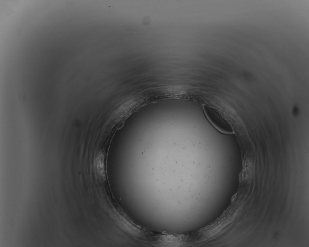 X0000097970238200804011728