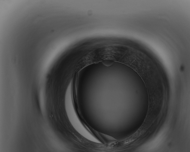 X0000097970239200804011728