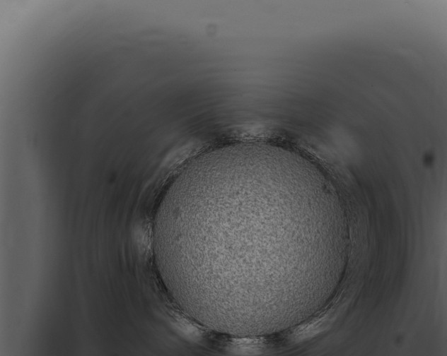 X0000097970240200804011728