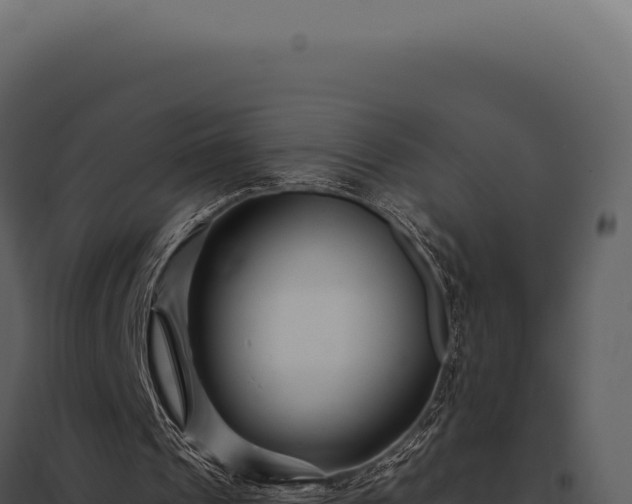 X0000097970241200804011728