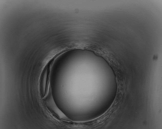 X0000097970242200804011728