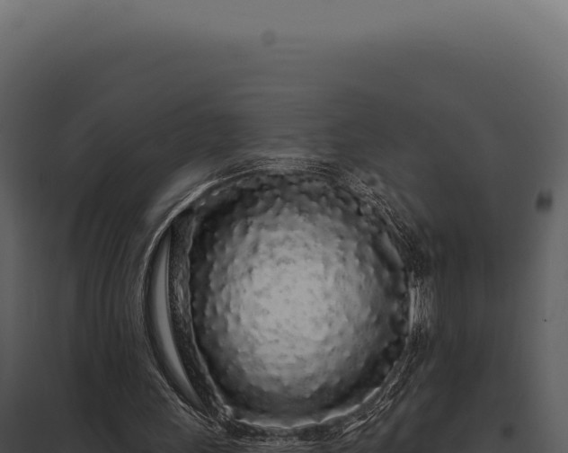 X0000097970243200804011728