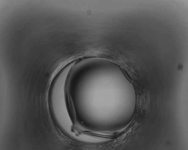 X0000097970244200804011728