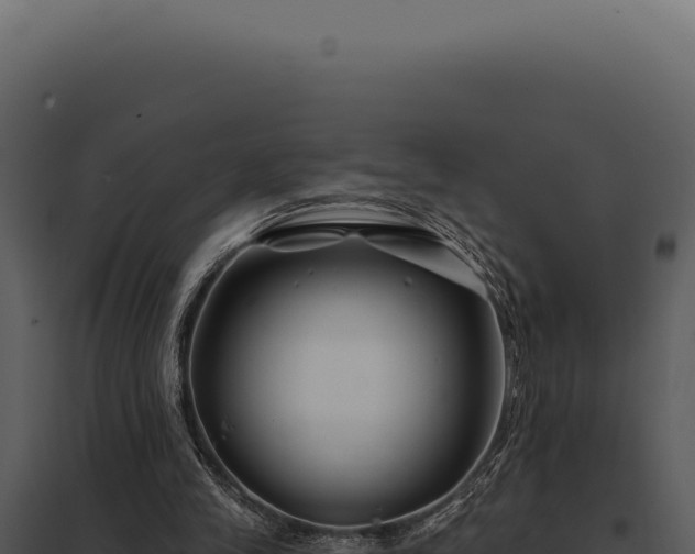 X0000097970245200804011728