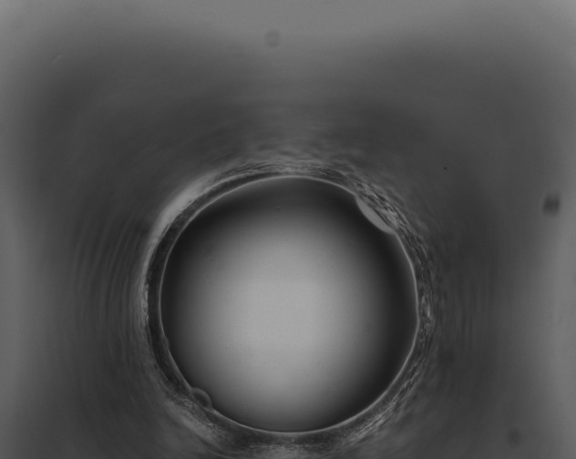 X0000097970246200804011728