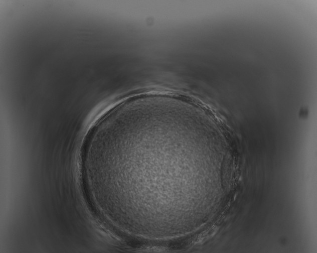 X0000097970247200804011728