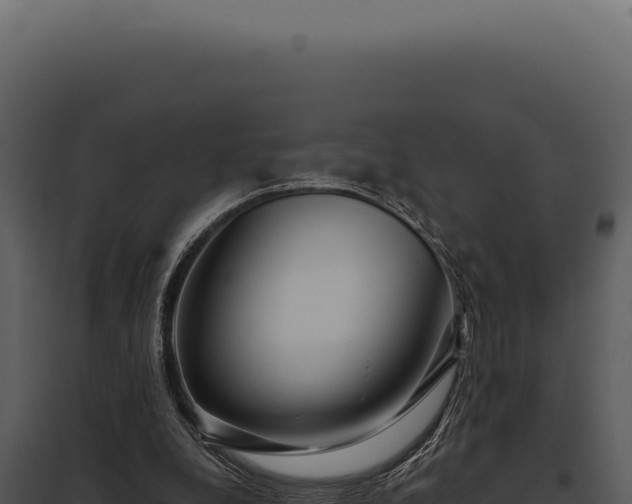 X0000097970248200804011728