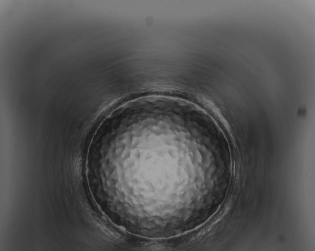 X0000097970249200804011728