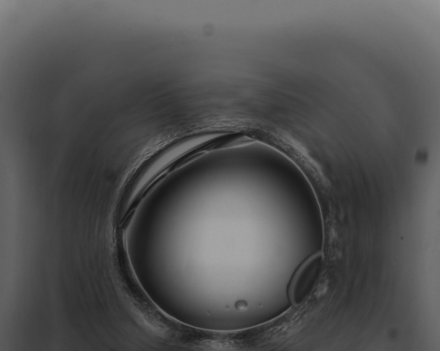 X0000097970250200804011728