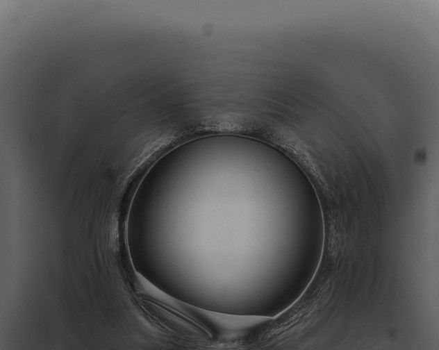 X0000097970251200804011728