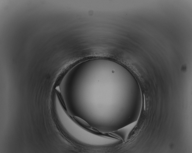 X0000097970252200804011728