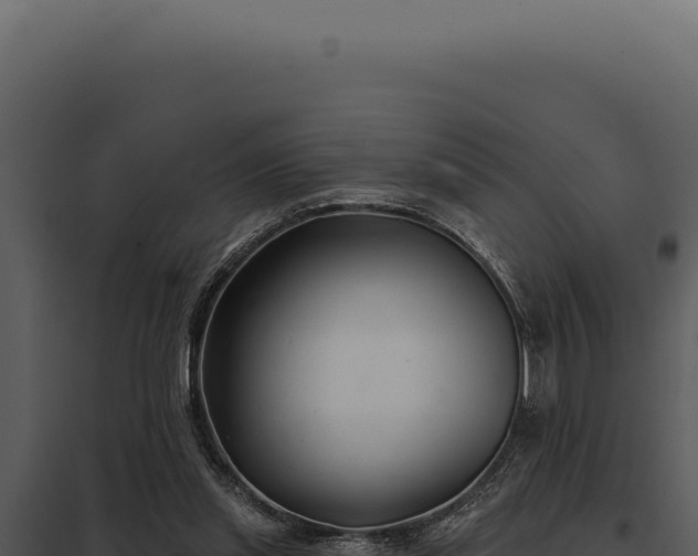 X0000097970253200804011728