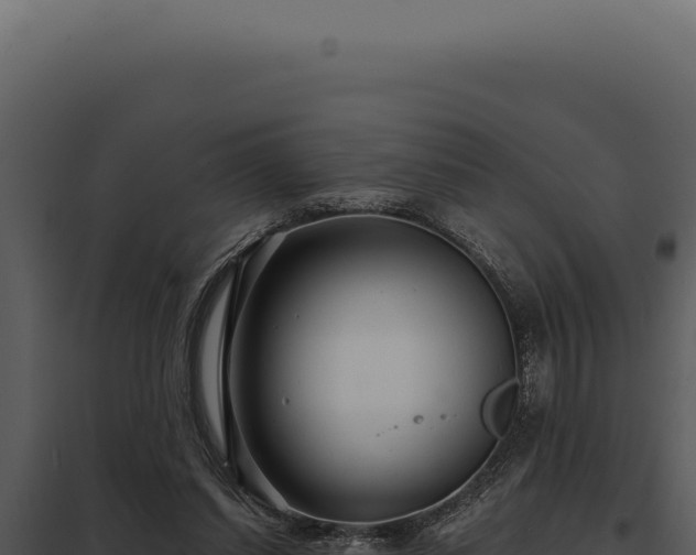 X0000097970254200804011728