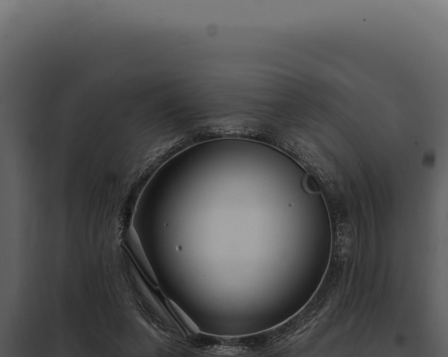 X0000097970255200804011728