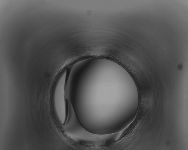 X0000097970256200804011728