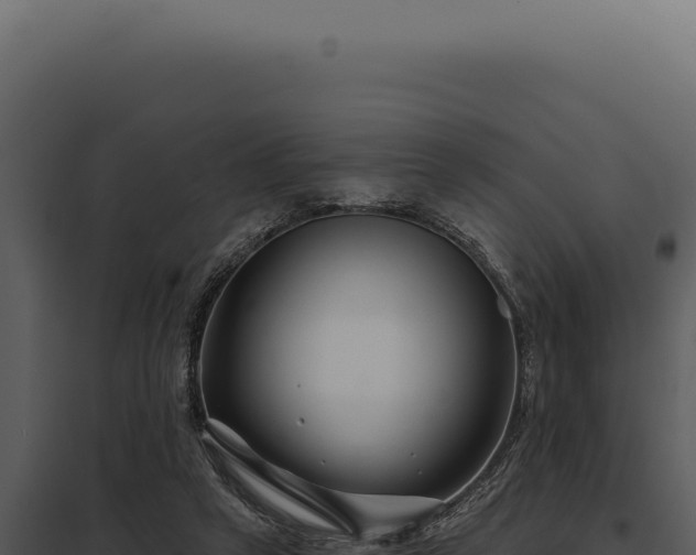 X0000097970257200804011728