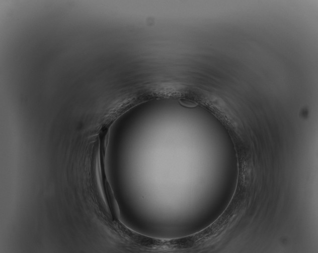 X0000097970259200804011728