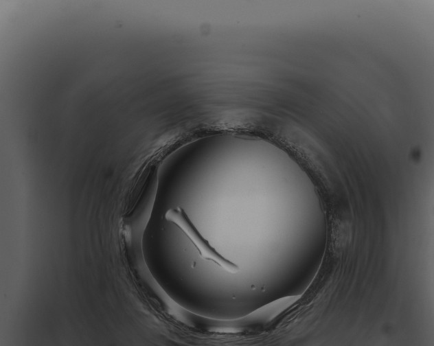 X0000097970260200804011728