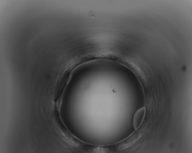 X0000097970261200804011728