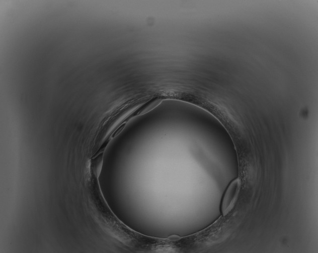 X0000097970262200804011728