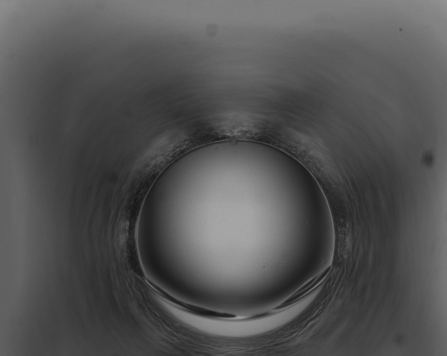 X0000097970263200804011728