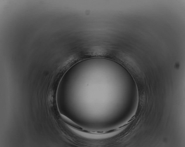 X0000097970264200804011728