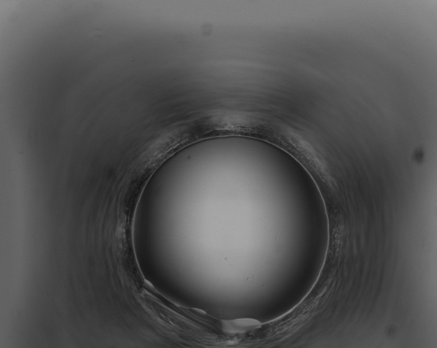 X0000097970265200804011728