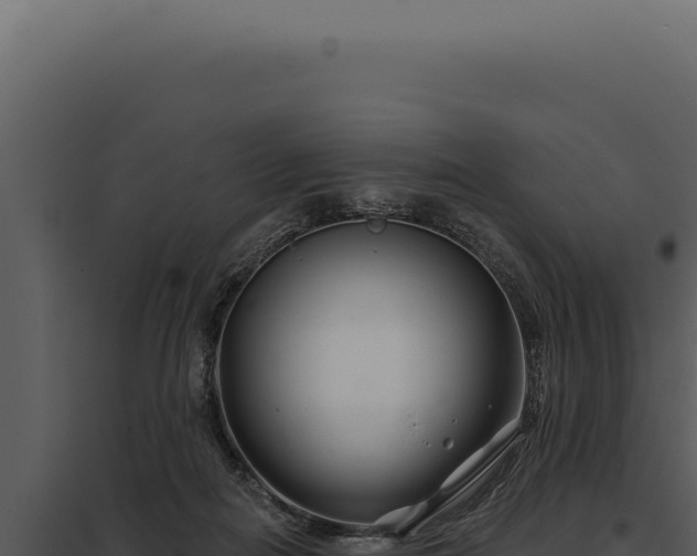 X0000097970266200804011728