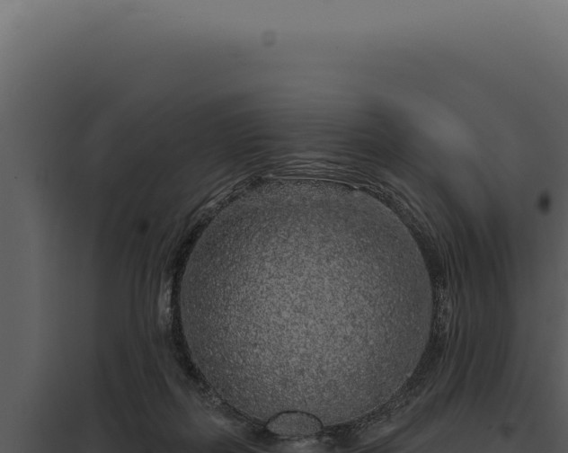 X0000097970267200804011728