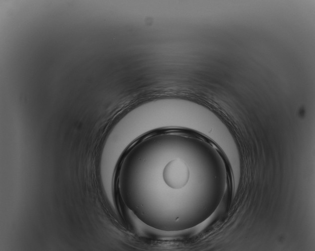 X0000097970268200804011728