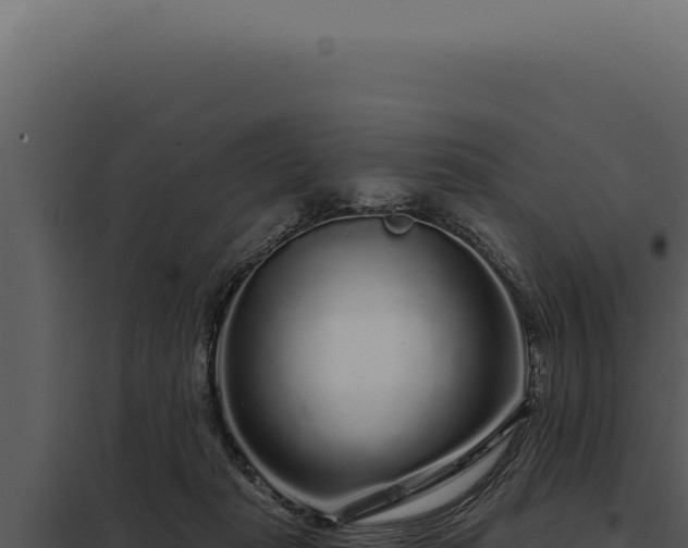 X0000097970269200804011728