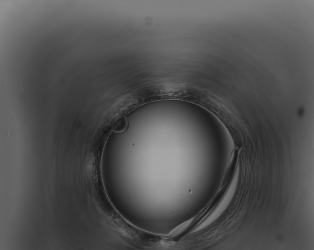 X0000097970270200804011728