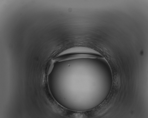 X0000097970272200804011728