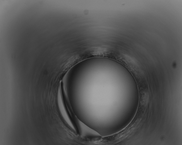 X0000097970273200804011728