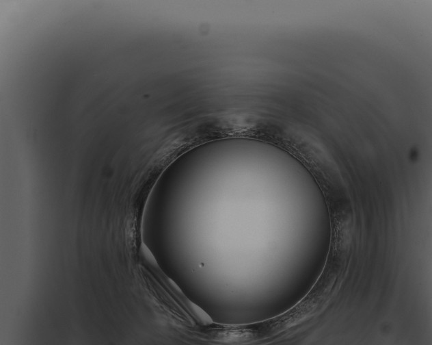 X0000097970274200804011728