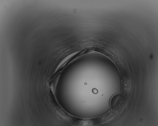 X0000097970275200804011728