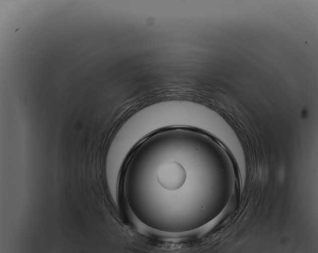 X0000097970276200804011728