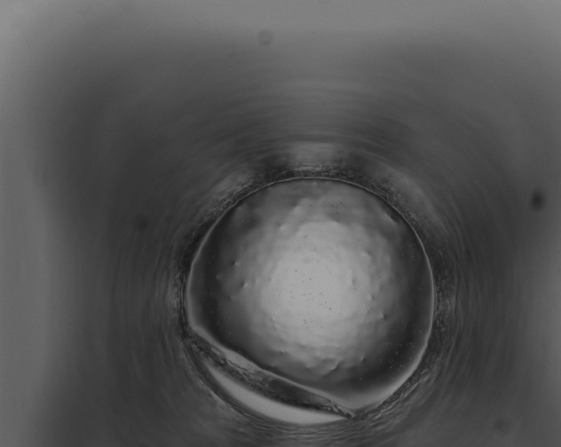 X0000097970277200804011728